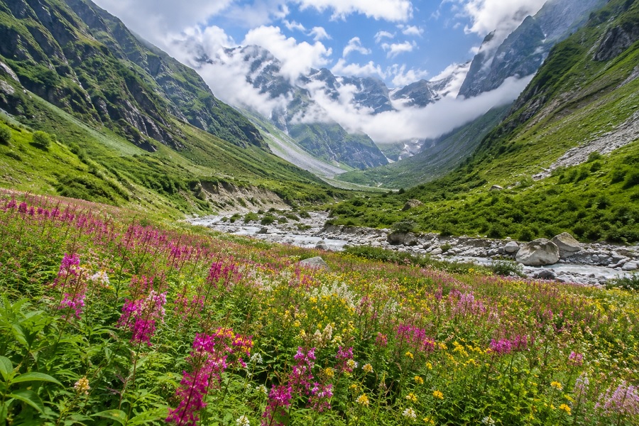 Valley of Flowers Travel Guide: Experience Nature�s Most Beautiful Garden
